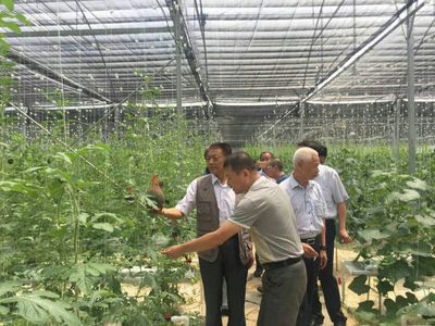 袁文先將軍深入三明調研，為扶貧改革與種植技術發展注入新動能